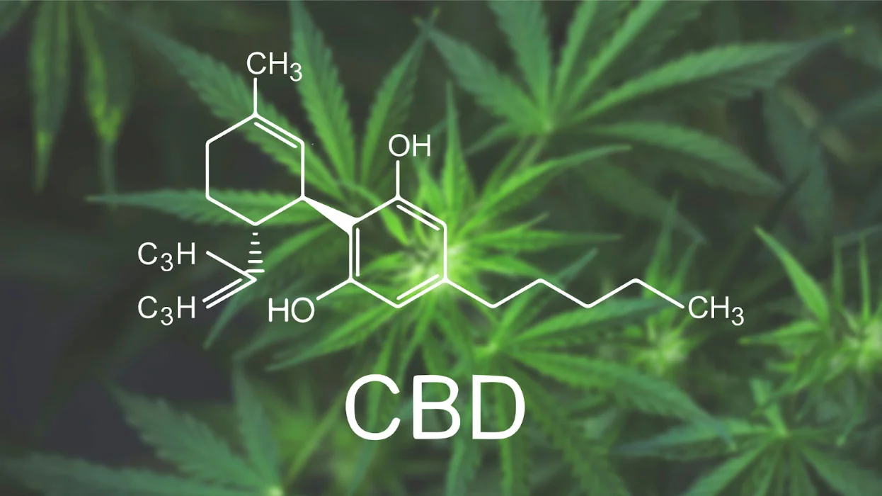 Understanding Cannabinoids