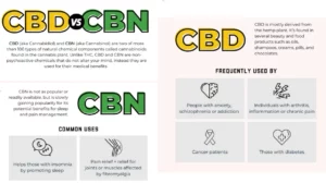 CBD vs. CBN: Exploring the Applications, Benefits, and Risks