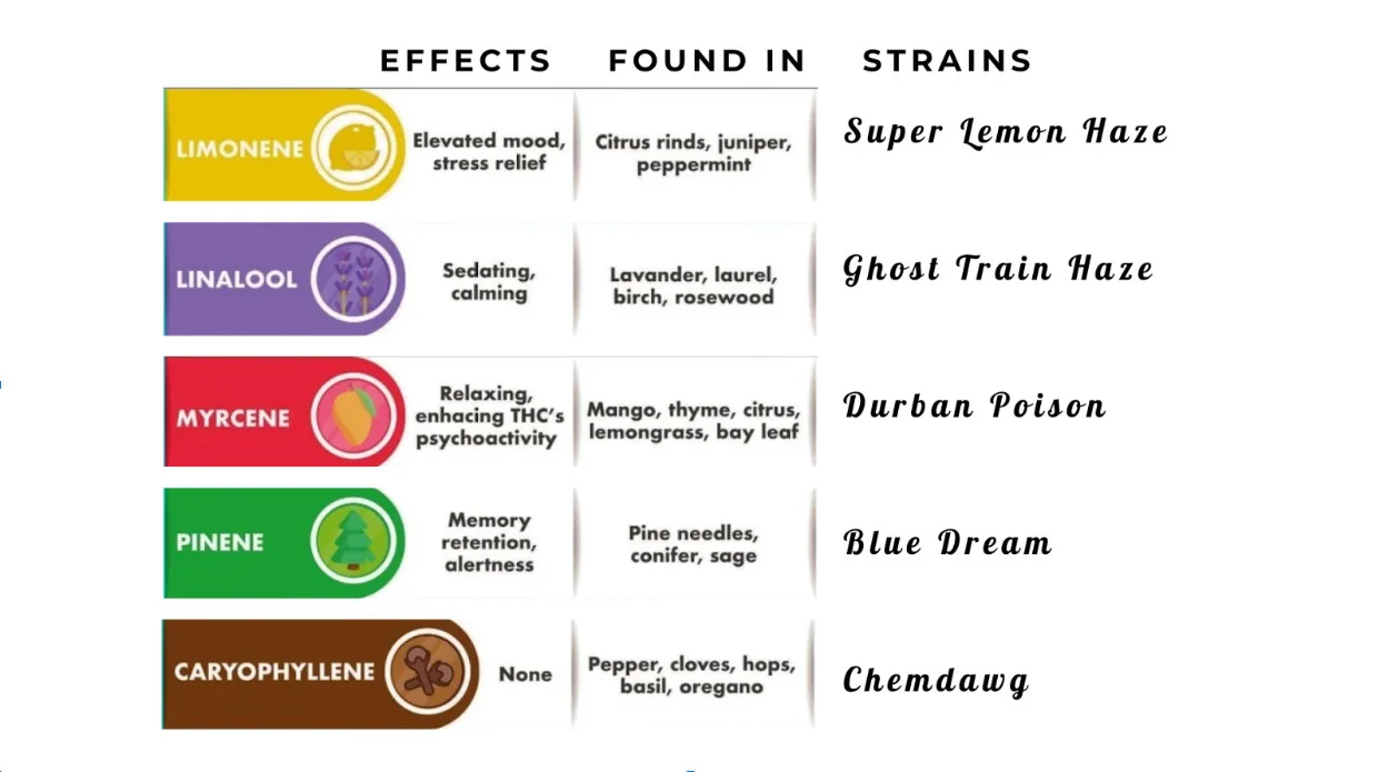 Terpenes That Make You Laugh